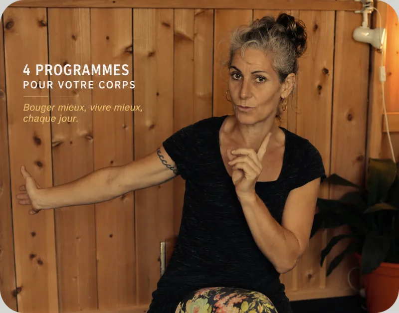 Programas Camille Farge
